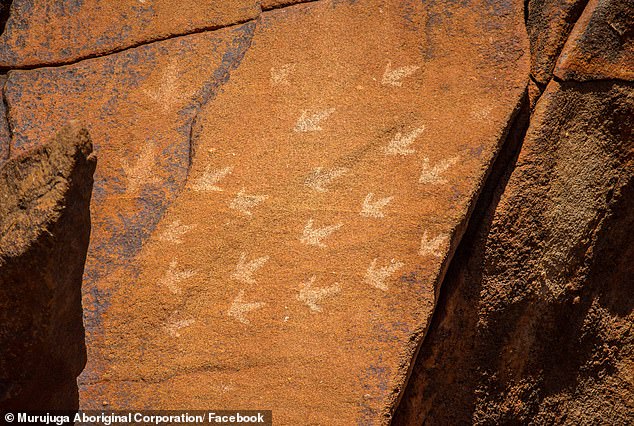 An employee of WA's Murujuga Aboriginal Corporation warned board members that traditional owners were being frozen out of a monitoring program key to the bid to have the world's largest and oldest rock art gallery (pictured) listed as a World Heritage Site.