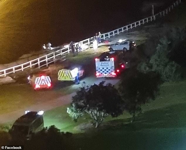 NSW Ambulance and Police personnel also attended the scene (pictured) at Dunningham Reserve, on the northern headland of Coogee Beach