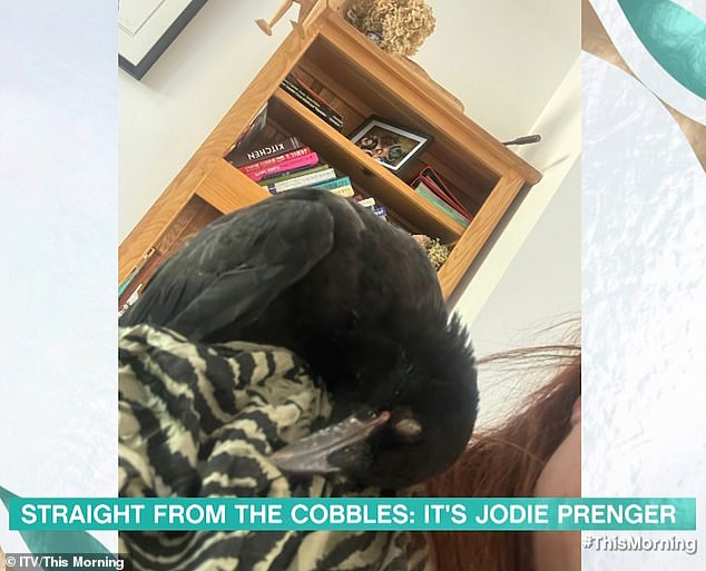 Speaking of her latest edition, Jodie has named the bird comically, much to the delight of everyone in the studio