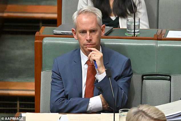 Immigration Minister Andrew Giles (pictured) has come under fire following a series of detainee disasters, with the opposition calling for his resignation