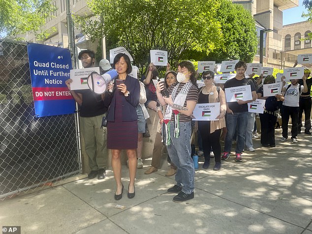 DePaul University adjunct professor Anne d'Aquino speaks to reporters with pro-Palestinian protesters standing behind her outside the North Side university grounds, Thursday, June 6, 2024