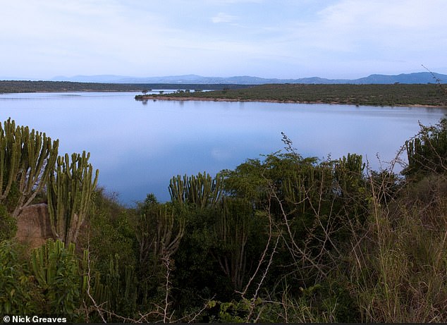 Uganda's Kazinga Canal (pictured) connects Lakes George and Edward and is the go-to destination for tourists as the popular boat trips provide great wildlife spotting opportunities
