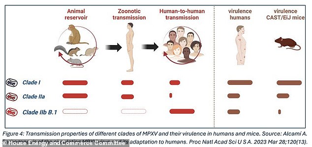 The above shows the different characteristics of the different types of monkeypox