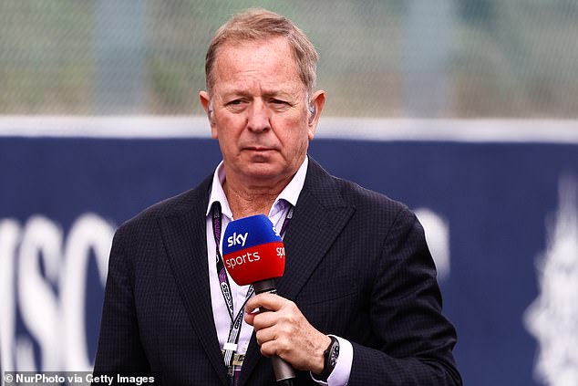 Martin Brundle (pictured) gave his opinion on Daniel Ricciardo following recent criticism from F1 champion Jacques Villeneuve