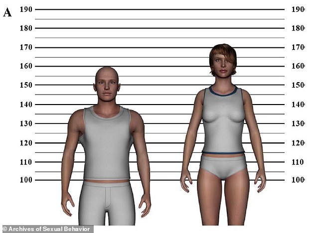 Pictured is a man with a short height of 160 cm (5 feet 3 inches), but with a higher shoulder-to-hip ratio - with the circumference around the shoulders being greater than around the waist
