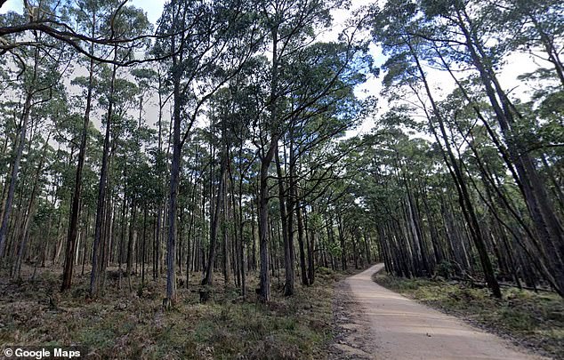 Mr Edward's body was found in bushland in the Leonards Hill area