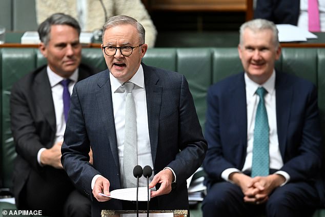 Anthony Albanese (pictured on Wednesday) has been criticized by a Greens MP for comments he made in federal parliament about opposition leader Peter Dutton's pronouns, allegedly at the expense of LGBTIQA+ people