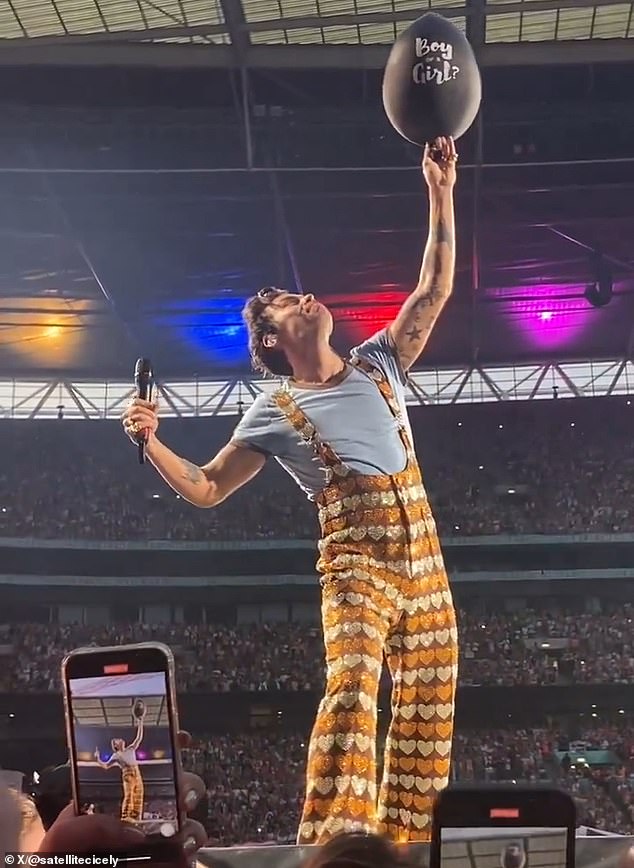 A Harry Styles fan called Cicely has shared a heartwarming life update - a year after the pop star helped her reveal her baby's gender (pictured at Wembley last June)