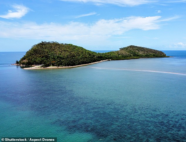 The island (pictured) was once a tourist attraction, located between Cairns and the Great Barrier Reef