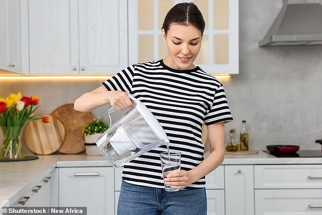 An inexpensive option to clean your water is a pitcher filter, but the gold standard is one that installs under the sink or a whole-house filtration system