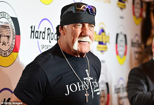 Wrestling legend Hulk Hogan is convinced he has what it takes to solve America's problems