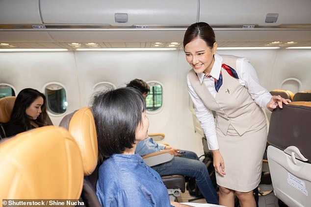 A female flight attendant speaks to a passenger sitting in economy class (stock image)