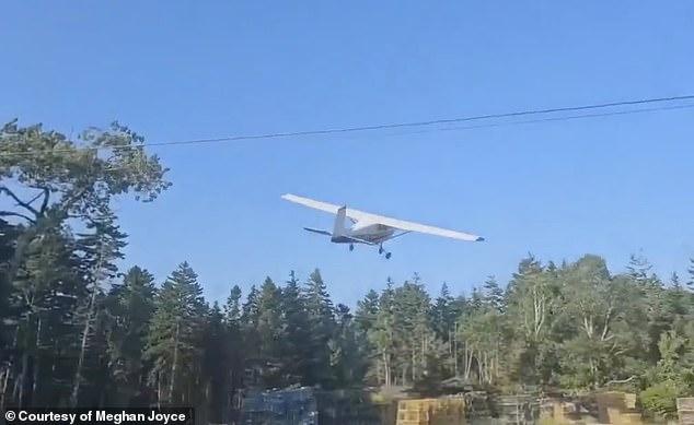 The single-engine Cessna 150 plane was caught on camera flying over the tree line just as the plane attempted an emergency landing