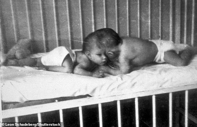 Although doctors doubted they would survive a year after birth (pictured), they defied all odds to become the world's oldest conjoined twins before their deaths this month.