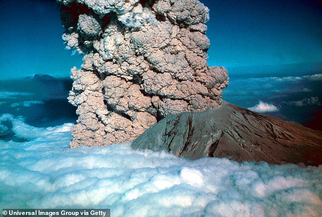 Mount St. Helens recently started rumbling again — more than forty years after the worst eruption in American history.  (Pictured: The 1980 eruption)