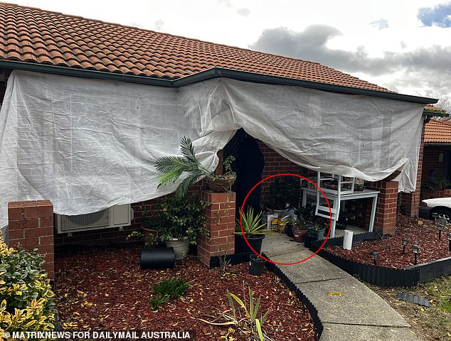 Pictured: the house where a woman was allegedly held captive and raped for four days.  There were garbage bags and day old chicks at the front door (circled)