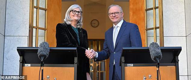 Incoming Governor General Sam Mostyn and Prime Minister Anthony Albanese have been good friends for years and champion the same goals