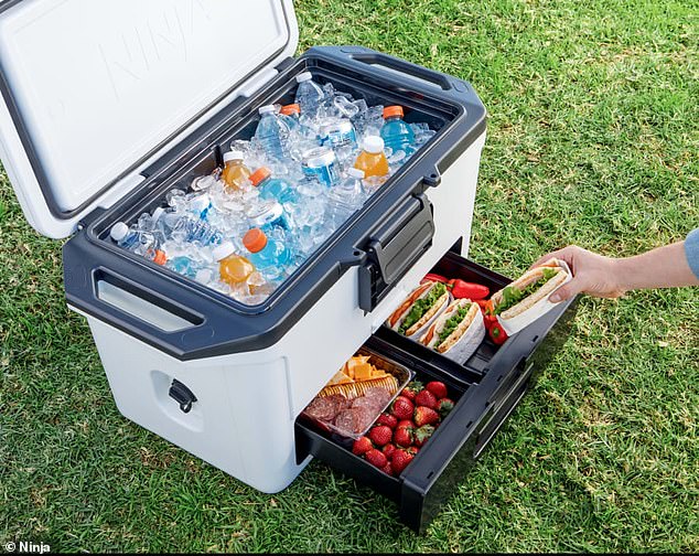 It has produced the Ninja FrostVault which comes with a unique 'dry zone' drawer and keeps food cold without getting it wet for the price of $250