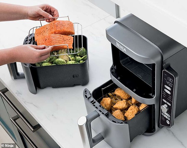 Ninja has taken over the kitchen appliance world with its air fryers and now plans to do the same with picnic items