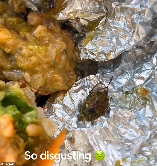 Nicolle Saba's sister found what appeared to be a giant dead insect in her Chipotle burrito in April