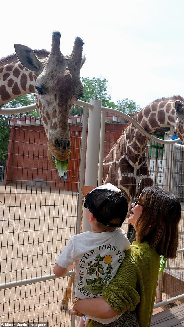 The 34-year-old singer, who shares her son with ex-husband Ryan Hurd, posted photos and an adorable video of her and Hayes feeding some majestic giraffes