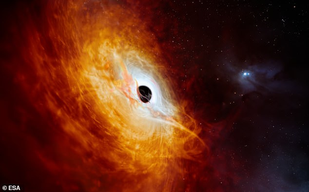As black holes feed, the matter falling under their influence becomes extremely hot and bright.  Scientists think it is the radiation from gases falling into the black hole that they can now observe (artist's impression)