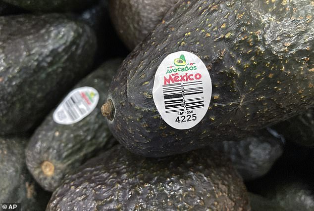 The US government has halted inspections of avocado and mango shipments from Michoacán, Mexico after two US Department of Agriculture employees were attacked and temporarily detained by assailants over the weekend.