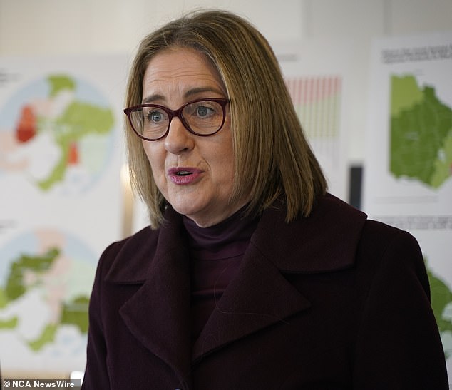 Premier Jacinta Allan said the rate increases had not yet been finalised and that for estates under $500,000 the desired rate changes would make them cheaper