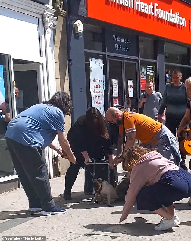 Gruesome footage of the attack in Leith, Edinburgh, yesterday captured the moment the helpless pug whimpered in pain as he was mauled by a dog more than twice his size.  Bystanders use a chair to combat it