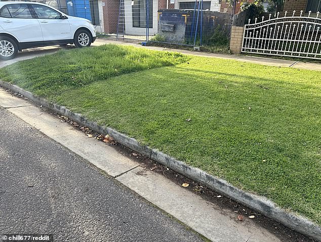 Hundreds debate whether it's 'unAustralian' to mow your side of the median lawn and not your neighbor's