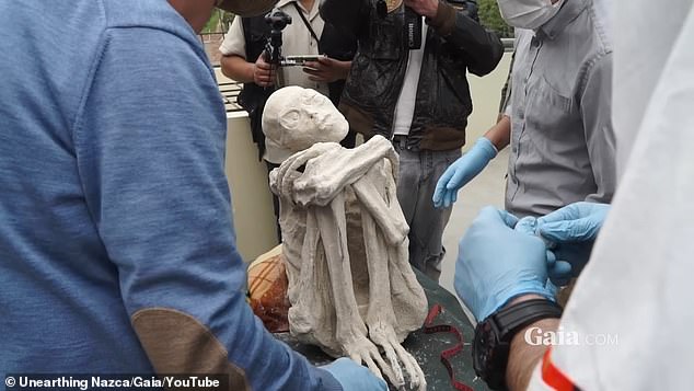 Three-fingered 'alien mummies' discovered in Peru have been largely dismissed as a hoax by the scientific community, but a new study has suggested otherwise.  A new study analyzed one of the mummies named Maria