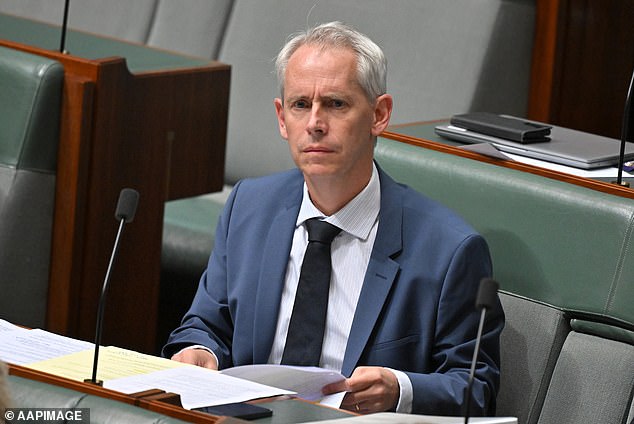 Embattled Immigration Minister Andrew Giles has been warned that new regulations he introduced could help sex offenders avoid being deported from Australia