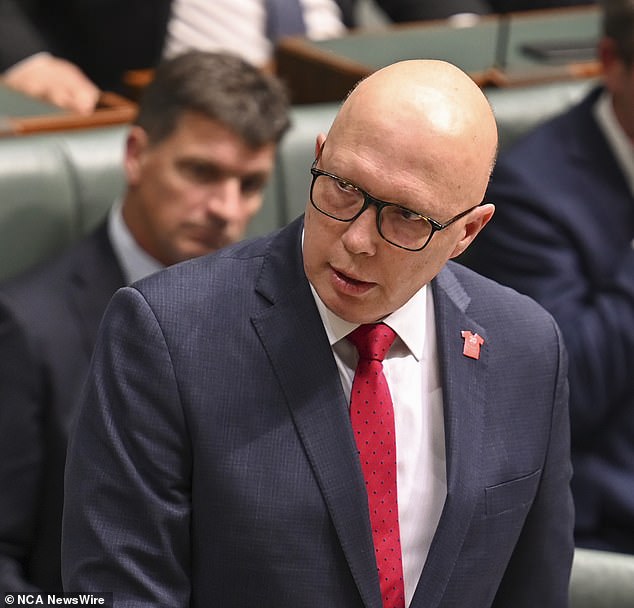 Opposition Leader Peter Dutton (pictured) has divided voters over his plans for nuclear energy