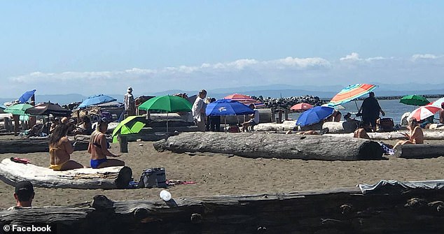 Pictured: Wreck Beach, located at the tip of Vancouver, has long been a clothing-optional beach.  Lately it has been plagued by people who come just to look at naked beachgoers