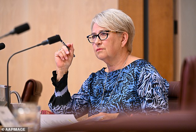 Greens senator Barbara Pocock (photo) wants more transparency from government advisors, but is silent about the lack of transparency within her own political party