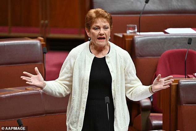 Pauline Hanson stands firm in her refusal to remove a satirical cartoon about Robert Irwin after he threatened legal action – as a top lawyer predicts he has no chance of winning a libel suit