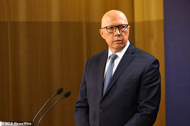 Federal Opposition Leader Peter Dutton (pictured) pocketed a $23,000 bill when he traveled from the nation's capital to NSW on a private jet last August
