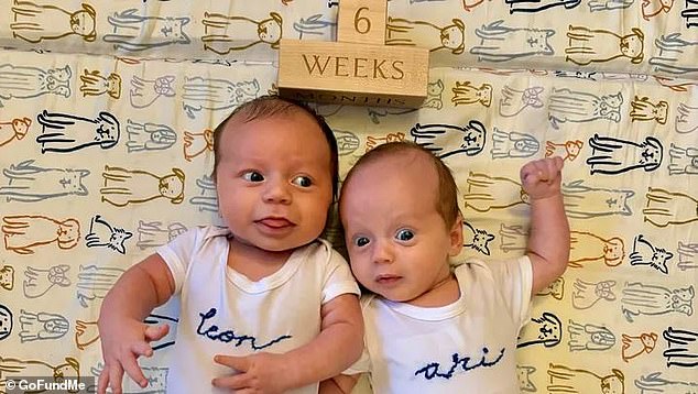 Six-month-old Leon Katz (left) was murdered in his Pittsburgh home on Father's Day.  His twin brother, Ari (right), was injured.  Nicole Virzi, 29, was charged with the baby's murder
