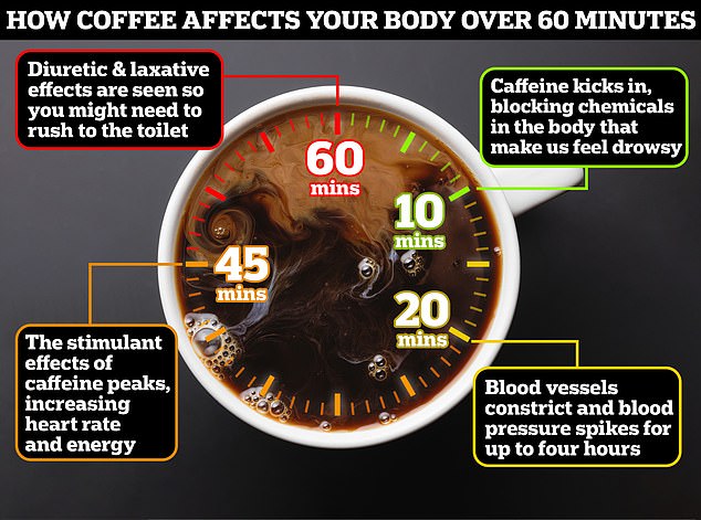 Have you ever wondered what exactly happens in your body after taking that first sip?