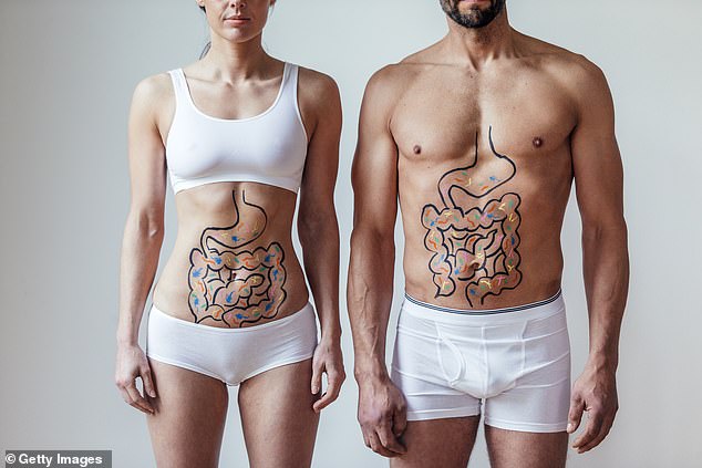 Researchers at UCLA's Goodman-Luskin Microbiome Center suggested that more resilient people have stronger gut barriers and microbiomes