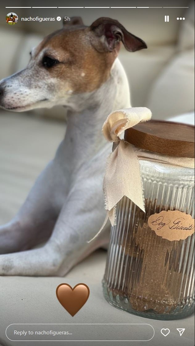 A photo posted to Instagram by Nacho Figueras of the container of dog treats that is part of the latest goods offered by American Riviera Orchard