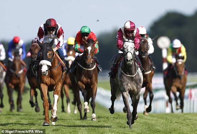 Mail Sport racing expert Robin Goodfellow gives his tips for Monday's meetings