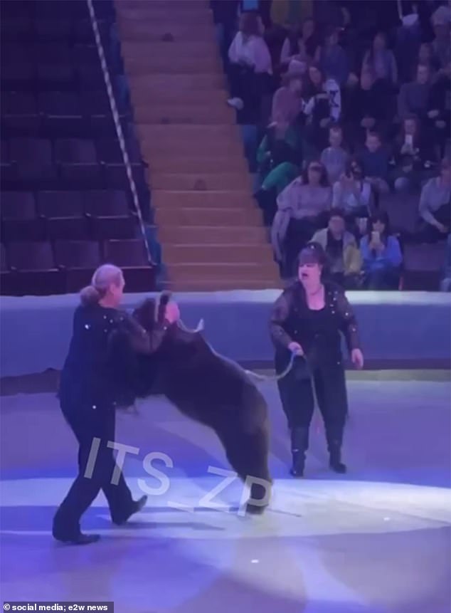 A trainer was attacked by a bear in April after giving him a treat during a performance in Ukraine