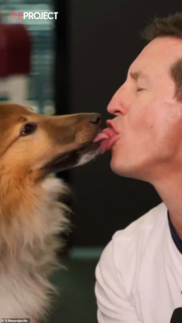 Rove McManus (pictured) was the source of shock and awe on Friday's episode of The Project when he made a dog lick his mouth and tongue