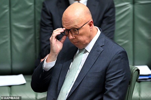 Mr Dutton has given his Senate colleagues the green light to support the bill, despite public backlash against the proposal given the current cost of living crisis.