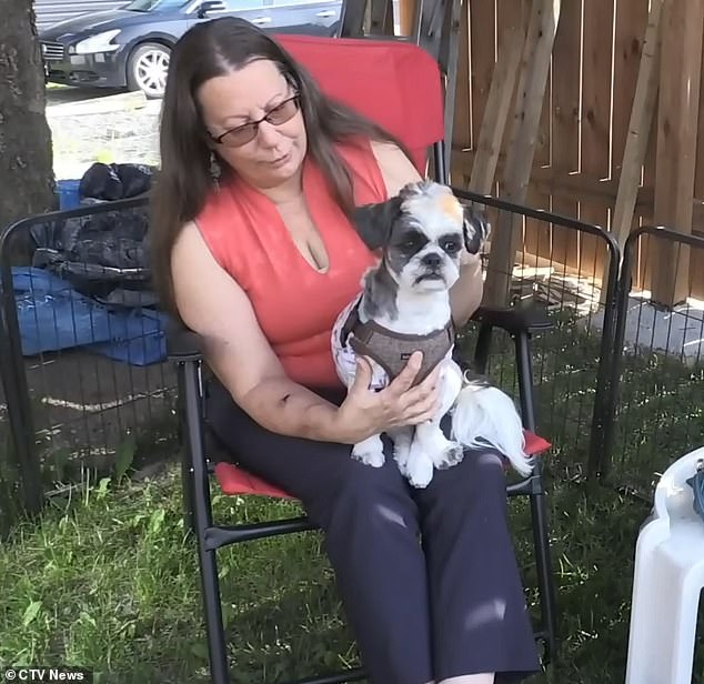 A dog owner has shared shocking footage of the moment her shih tzu was destroyed by a bloodthirsty pit bull
