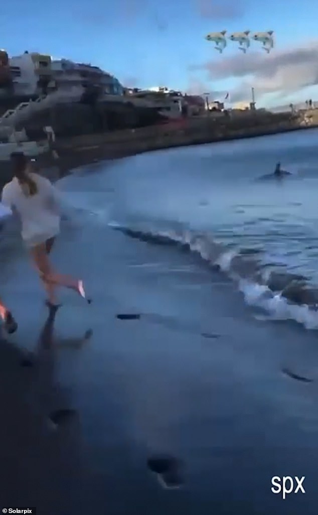 Youths were seen running for safety as the shark approached around 5pm on Saturday