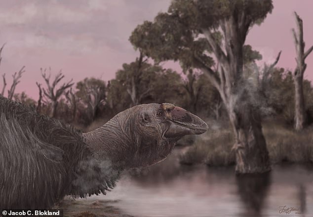 The illustration shows a reconstruction of Genyornis newtoni at the water's edge in a wetland or swampy environment