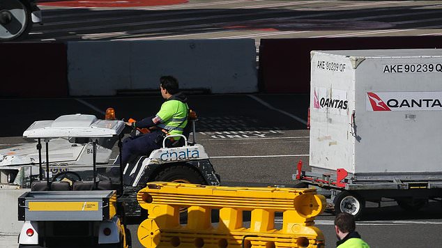 A former Sydney Airport worker made almost half a million dollars selling electronics stolen from cargo while he worked as a cargo handler (stock image)