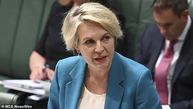 Environment Minister Tanya Plibersek rephrased his comments on the issue, saying: 